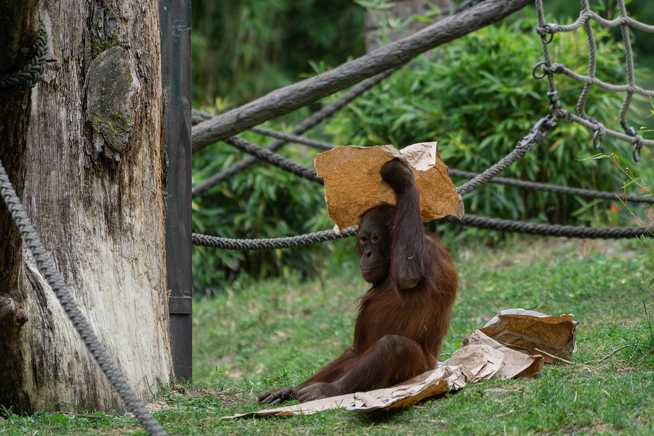 Panduan Lengkap Perpanjangan Paspor di Natuna
